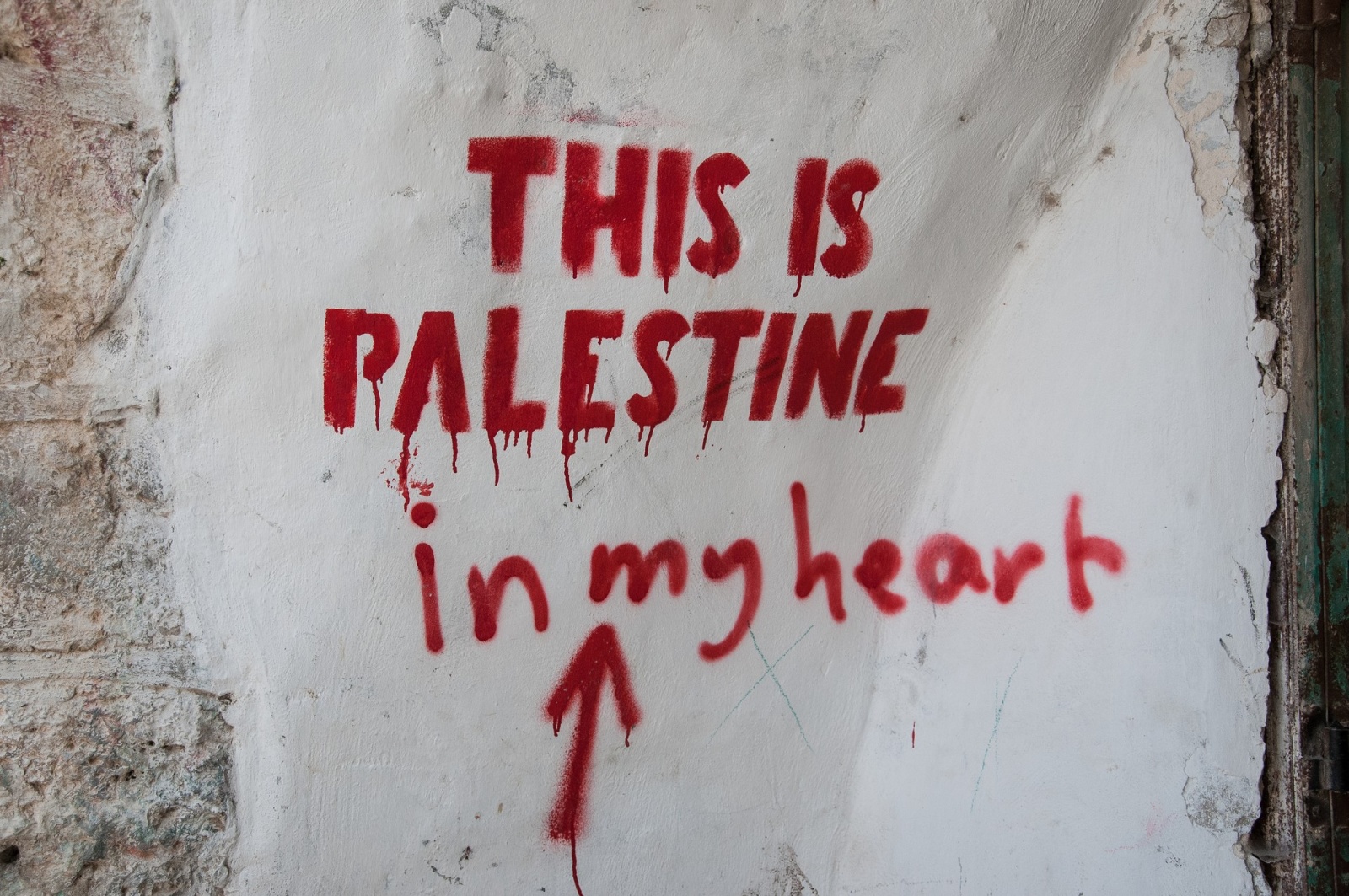 This is Palestine - Palestine